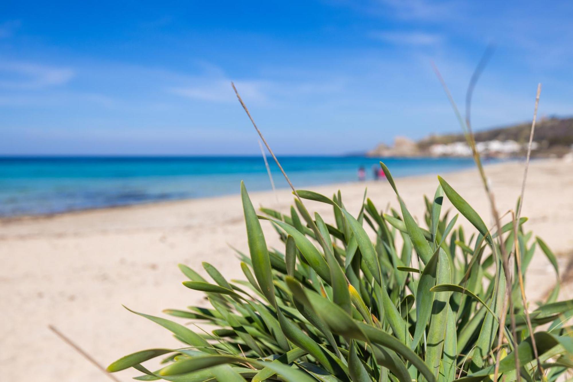 Luxury Suites & Apartment Con Accesso Alla Spiaggia E Parcheggio Privato - Vista Mare Lido Conchiglia Ngoại thất bức ảnh